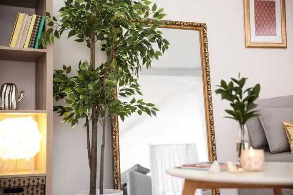 Mirror Framing